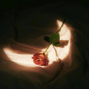 !欧美与动牲交zoZ0
