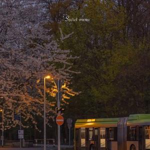 !欧美与动牲交zoZ0
